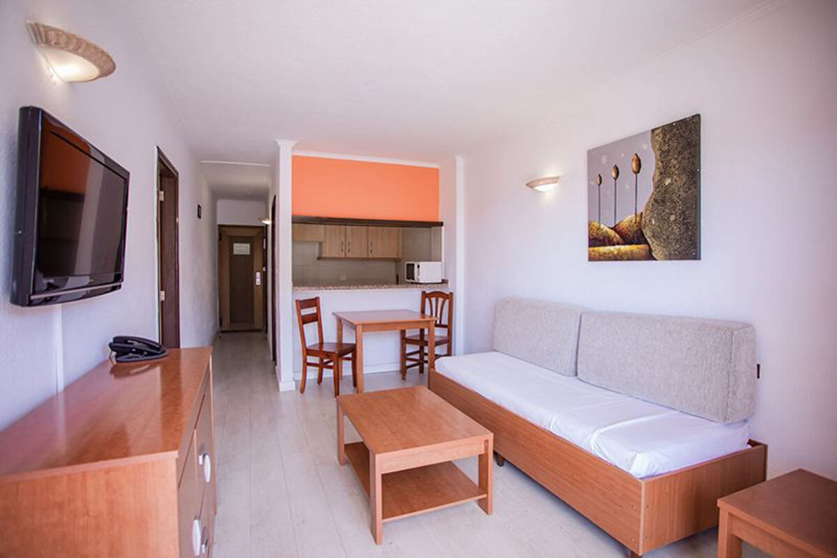 ONE BEDROOM CLASSIC APARTMENT SINGLE USE